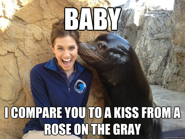 baby i compare you to a kiss from a rose on the gray - Crazy Secret