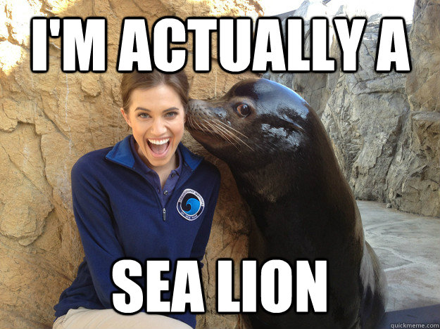 im actually a sea lion - Crazy Secret