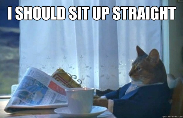 i should sit up straight - Sophisticated Cat