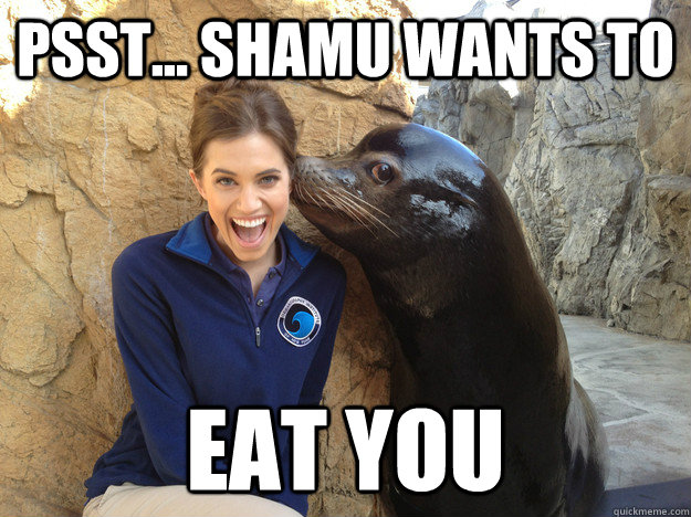 psst shamu wants to eat you - Crazy Secret