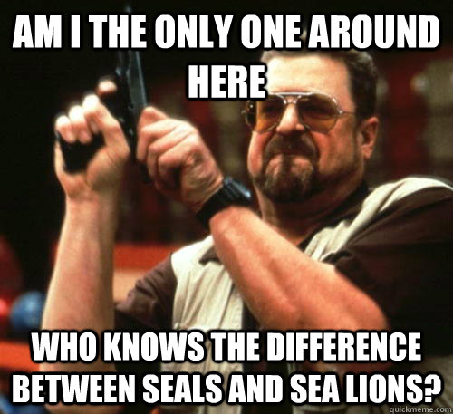 am i the only one around here who knows the difference betwe - Am I The Only One Around Here