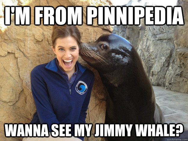 im from pinnipedia wanna see my jimmy whale - Crazy Secret