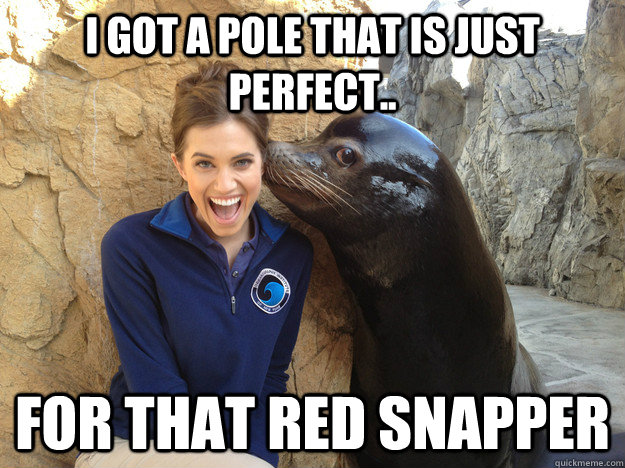 i got a pole that is just perfect for that red snapper - Crazy Secret