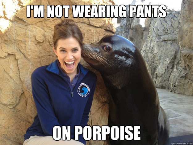 im not wearing pants on porpoise - Crazy Secret