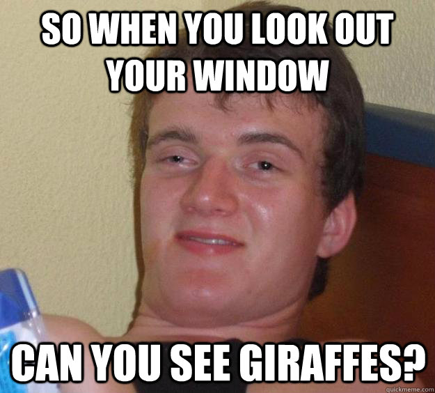 so when you look out your window can you see giraffes - 10 Guy