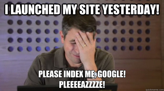 i launched my site yesterday please index me google plee - Facepalm Matt Cutts
