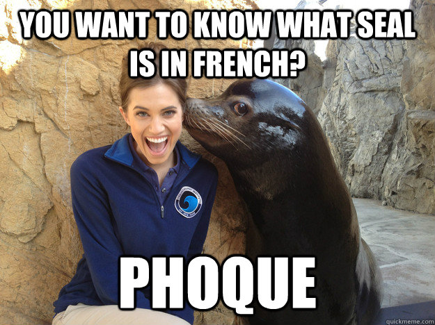 you want to know what seal is in french phoque - Crazy Secret