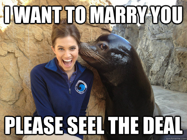 i want to marry you please seel the deal - Crazy Secret
