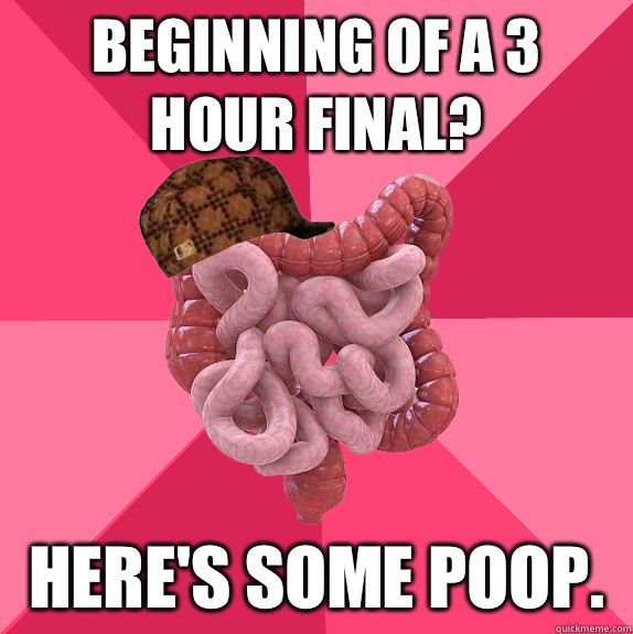 Beginning of a 3 hour final  - Scumbag Intestines