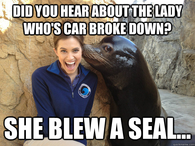 did you hear about the lady whos car broke down she blew a - Crazy Secret
