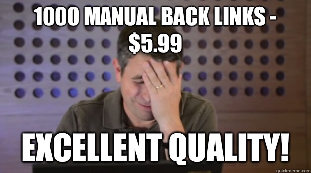 1000 manual back links 599 Excellent quality - Facepalm Matt Cutts