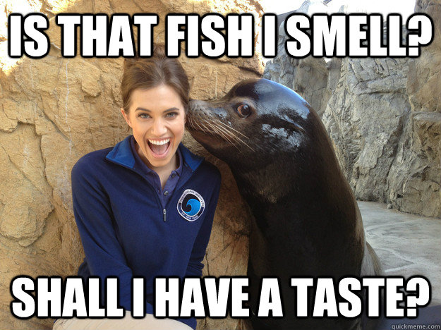 is that fish i smell shall i have a taste - Crazy Secret