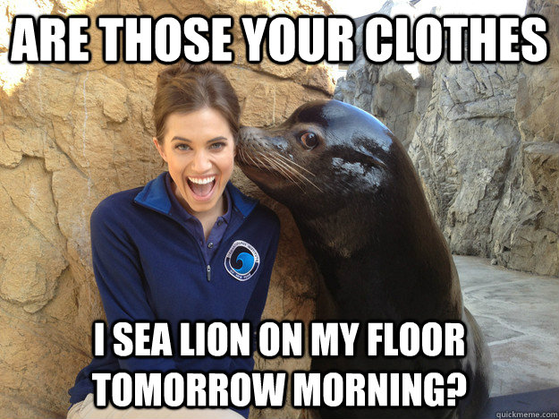 are those your clothes i sea lion on my floor tomorrow morni - Crazy Secret