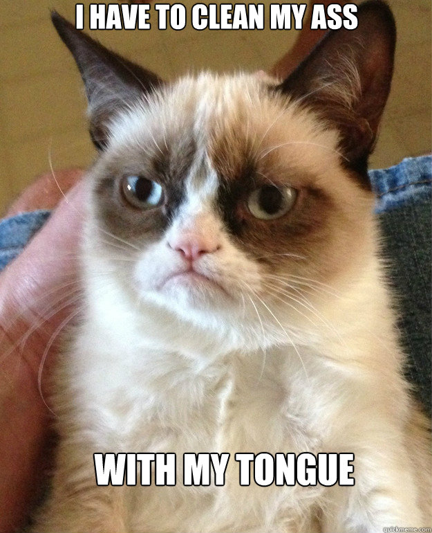 i have to clean my ass with my tongue - Grumpy Cat