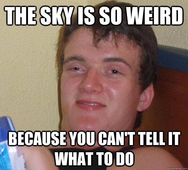 the sky is so weird because you cant tell it what to do - 10 Guy