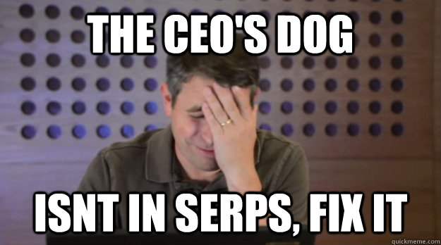 the ceos dog isnt in serps fix it - Facepalm Matt Cutts