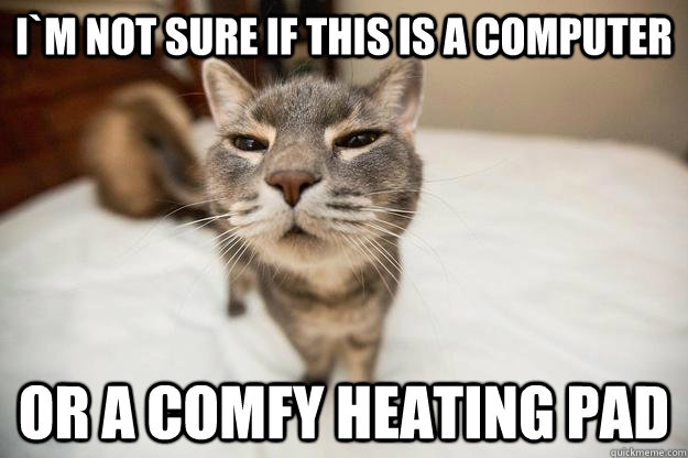 im not sure if this is a computer or a comfy heating pad -