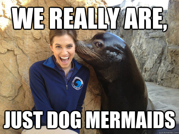 we really are just dog mermaids - Crazy Secret