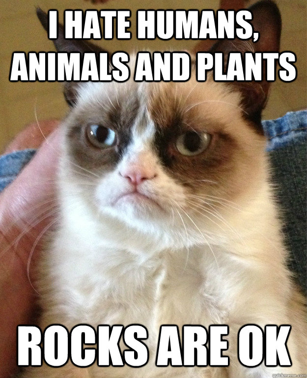 i hate humans animals and plants rocks are ok - Grumpy Cat