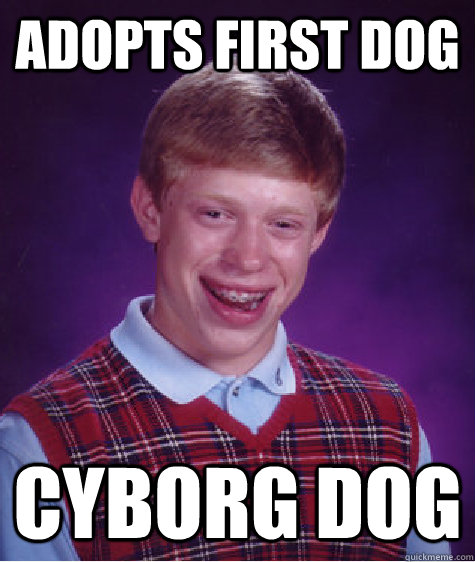 adopts first dog cyborg dog - Bad Luck Brian