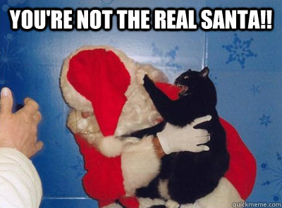 youre not the real santa - Santa