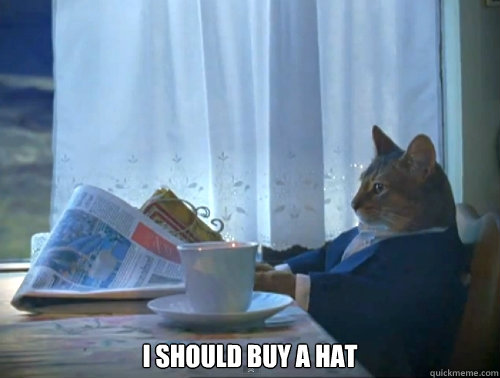 i should buy a hat - The One Percent Cat