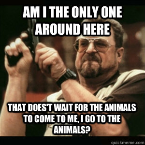 am i the only one around here that doest wait for the anima - AM I THE ONLY ONE AROUND HERE