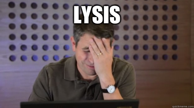 Lysis  - Facepalm Matt Cutts
