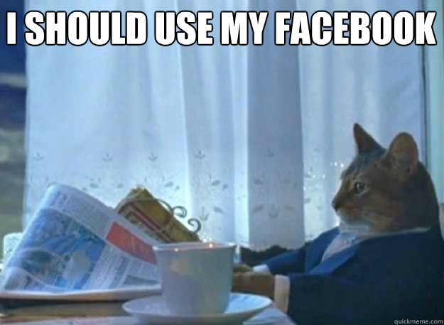 i should use my facebook - sophisticated cat
