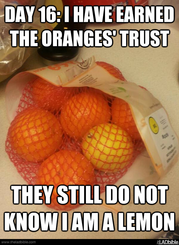 day 16 i have earned the oranges trust they still do not k - Turning into a lemon party