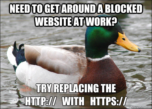 need to get around a blocked website at work try replacing - Actual Advice Mallard