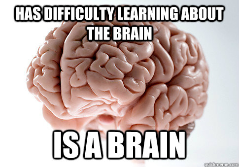has difficulty learning about the brain is a brain - Scumbag Brain