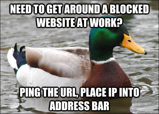 need to get around a blocked website at work ping the url - Actual Advice Mallard