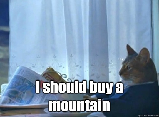 I should buy a mountain - Sophisticated cat