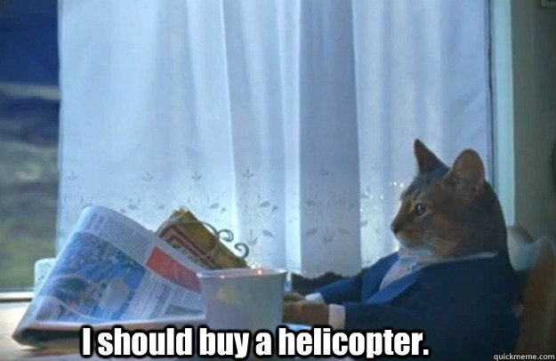i should buy a helicopter - Sophisticated Cat is broke