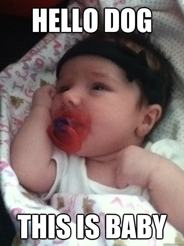 hello dog this is baby - Baby Talk