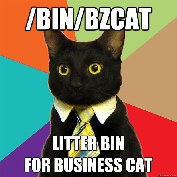 binbzcat litter bin for business cat - Business Cat