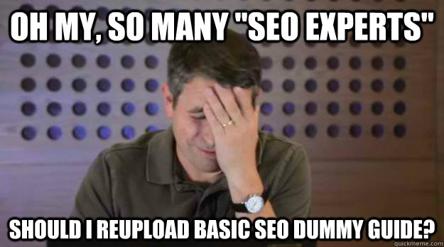 oh my so many seo experts should i reupload basic seo dum - Facepalm Matt Cutts