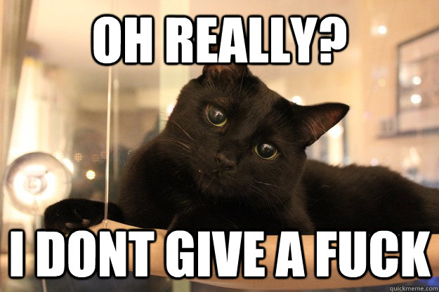 oh really i dont give a fuck - No fucks given cat