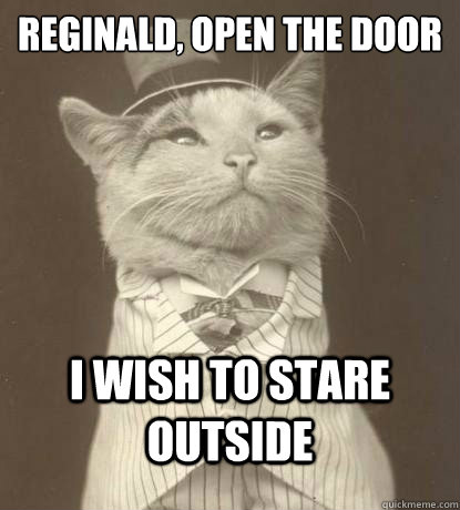reginald open the door i wish to stare outside - Aristocat