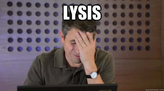 lysis - Facepalm Matt Cutts