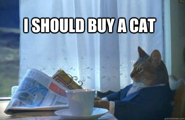 i should buy a cat - Sophisticated Cat