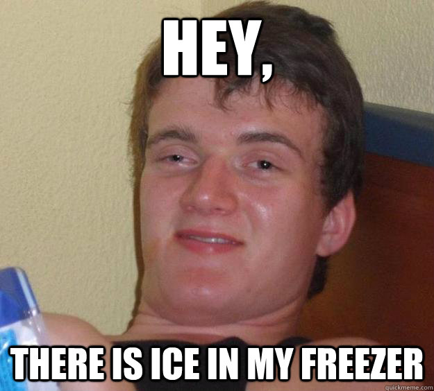 hey there is ice in my freezer - 10 Guy