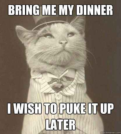 bring me my dinner i wish to puke it up later - Aristocat