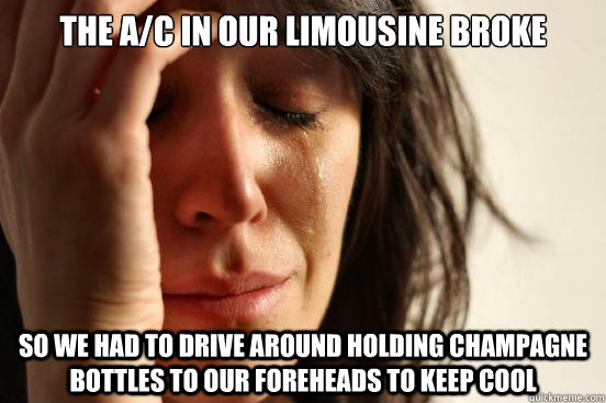 the ac in our limousine broke so we had to drive around ho - First World Problems