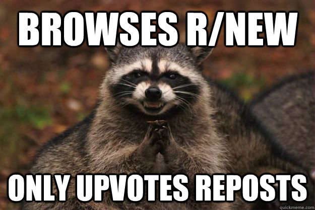 browses rnew only upvotes reposts - Evil Plotting Raccoon