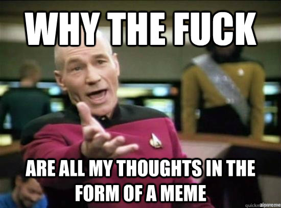why the fuck are all my thoughts in the form of a meme - Annoyed Picard HD
