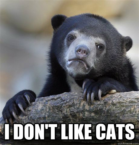 i dont like cats - Confession Bear