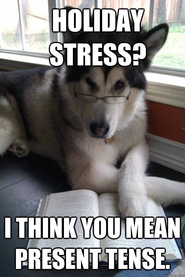 holiday stress i think you mean present tense - Condescending Literary Pun Dog