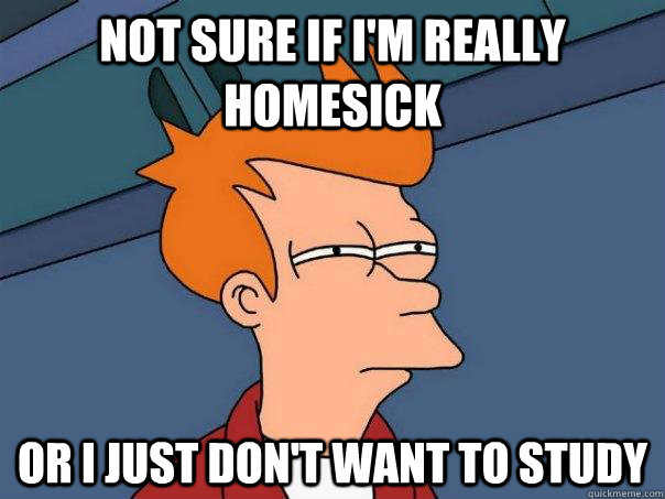 not sure if im really homesick or i just dont want to stud - Futurama Fry